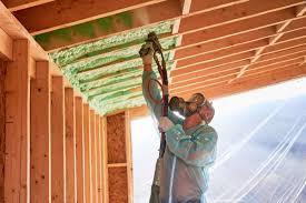 Best Spray Foam Insulation  in Briar Chapel, NC