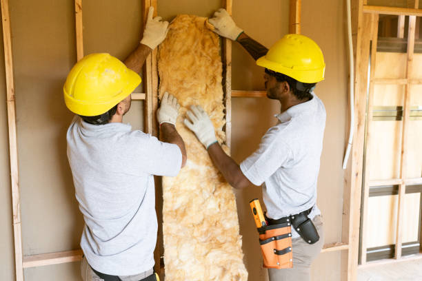 Best Crawl Space Insulation  in Briar Chapel, NC